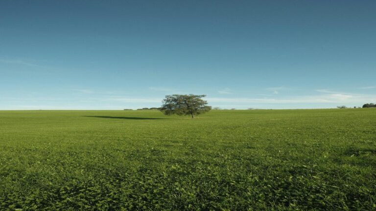 investir-em-acoes-para-iniciantes-comece-a-lucrar